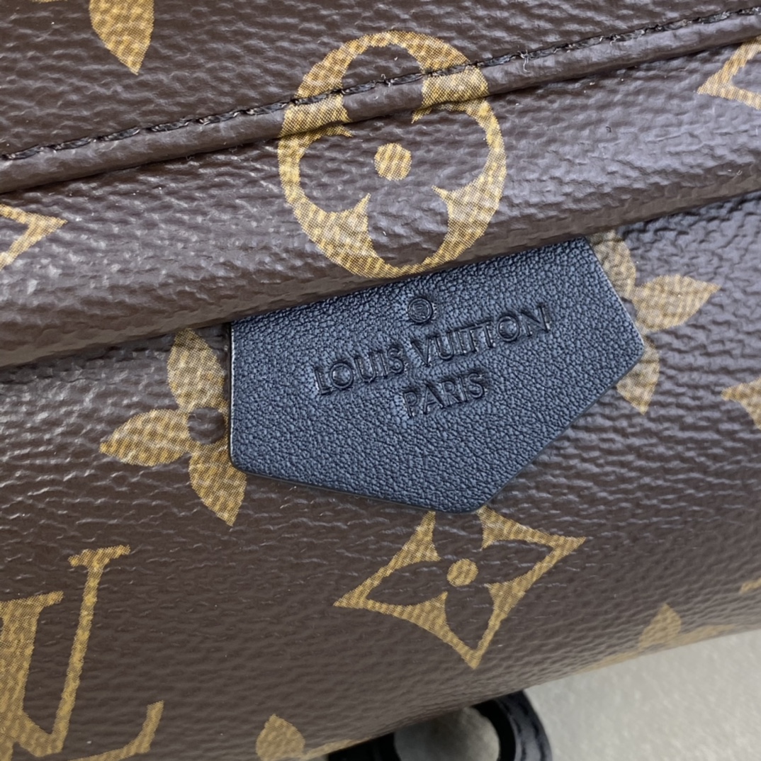 Louis Vuitton PALM SPRINGS PM Backpack Monogram M44871